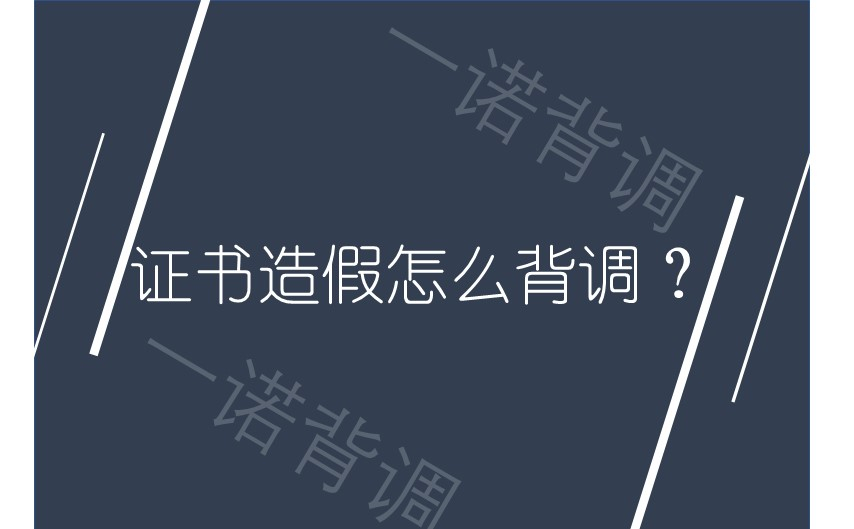 1500本职场证书的造假买卖，说明背景调查做的还不够